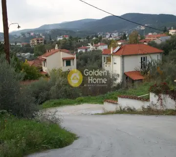 Residential 4000m<sup>2</sup> for sale photo 3100534