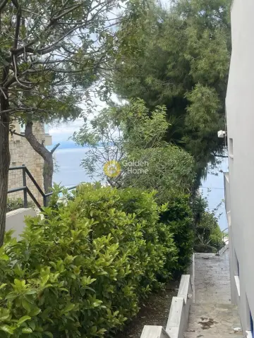 Μονοκατοικία 350τ.μ. προς πώληση φωτογραφία 36