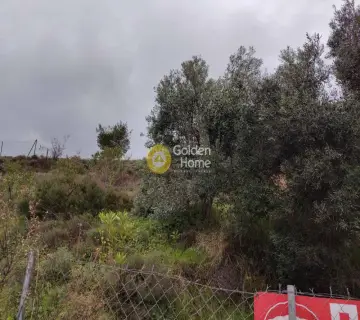 Οικιστικό 267τ.μ. προς πώληση φωτογραφία 4