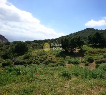 土地 4050m<sup>2</sup> for sale photo 2