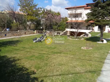 Golden Home Property Image