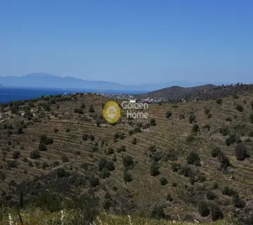 Residential 320m<sup>2</sup> for sale photo 1