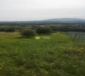 Residential 2030m<sup>2</sup> for sale photo 9