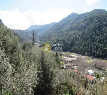住宅 568m<sup>2</sup> for sale photo 2