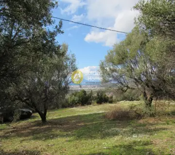 住宅 505m<sup>2</sup> for sale photo 4