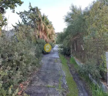 Independent Building 1466m<sup>2</sup> for sale photo 1
