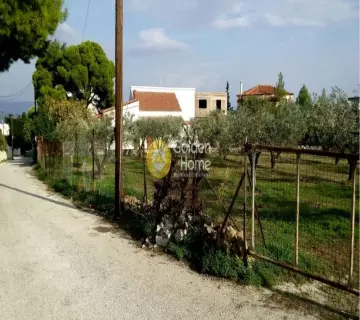Οικιστικό 1400τ.μ. προς πώληση φωτογραφία 3048325