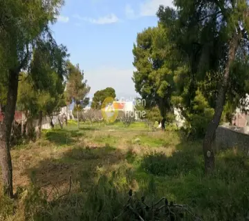Οικιστικό 1400τ.μ. προς πώληση φωτογραφία 3048324