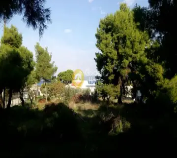 Οικιστικό 1400τ.μ. προς πώληση φωτογραφία 3048328