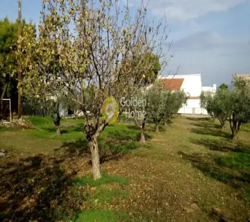 Οικιστικό 1400τ.μ. προς πώληση φωτογραφία 3048329