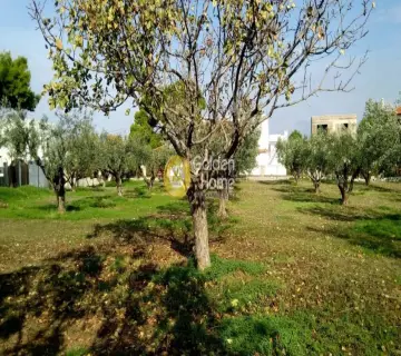 Golden Home Property Image