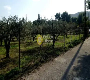 Οικιστικό 1400τ.μ. προς πώληση φωτογραφία 3048336