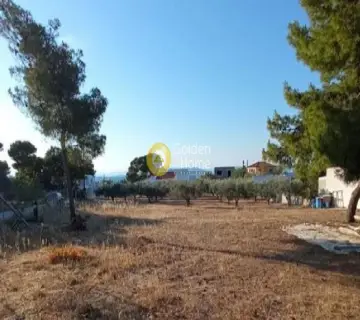 Οικιστικό 1400τ.μ. προς πώληση φωτογραφία 3048338