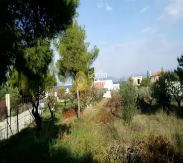 Οικιστικό 1400τ.μ. προς πώληση φωτογραφία 3048339