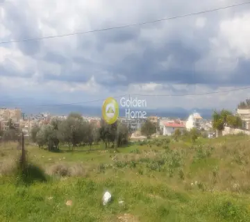 Golden Home Property Image