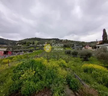 Οικιστικό 4320τ.μ. προς πώληση φωτογραφία 1