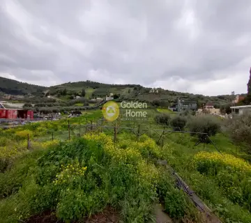Οικιστικό 4320τ.μ. προς πώληση φωτογραφία 2
