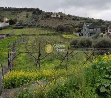Οικιστικό 4320τ.μ. προς πώληση φωτογραφία 3