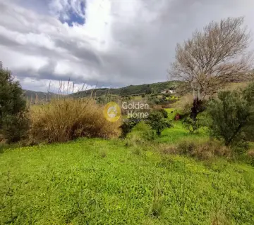 Αγροτεμάχιο 1520τ.μ. προς πώληση φωτογραφία 1
