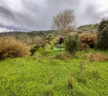 Αγροτεμάχιο 693τ.μ. προς πώληση φωτογραφία 2