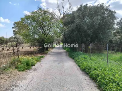 Οικιστικό 225τ.μ. προς πώληση φωτογραφία 5349241