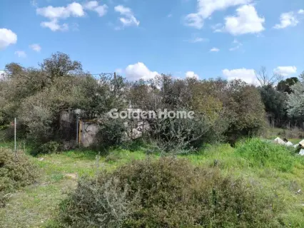 Οικιστικό 225τ.μ. προς πώληση φωτογραφία 3