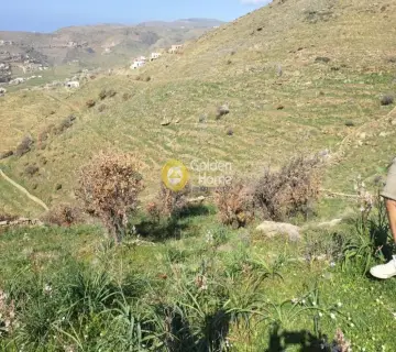 Residential 1000m<sup>2</sup> for sale photo 5