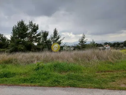Residential 1058m<sup>2</sup> for sale photo 8
