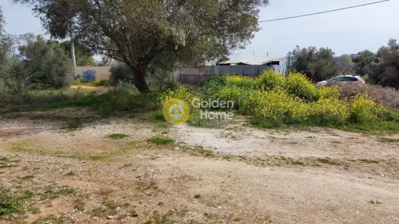 Οικιστικό 1500τ.μ. προς πώληση φωτογραφία 3