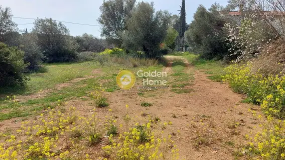 Οικιστικό 1500τ.μ. προς πώληση φωτογραφία 6