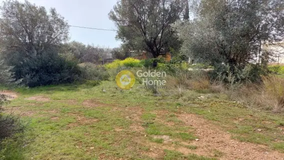 Οικιστικό 1500τ.μ. προς πώληση φωτογραφία 8