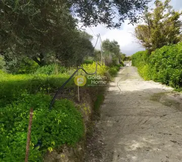 Residential 2076m<sup>2</sup> for sale photo 22