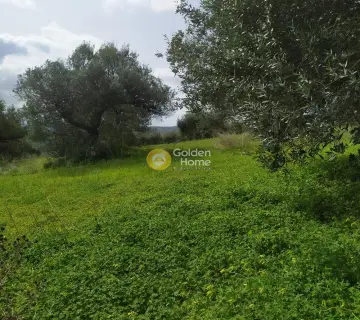 Residential 2076m<sup>2</sup> for sale photo 26