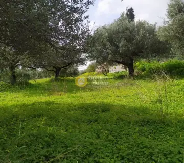Residential 2076m<sup>2</sup> for sale photo 40