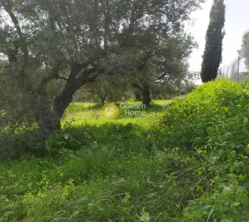 Residential 2076m<sup>2</sup> for sale photo 49