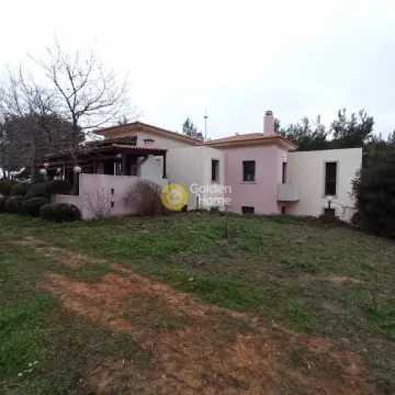 House 301m<sup>2</sup> for sale photo 31