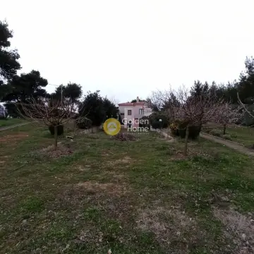 House 301m<sup>2</sup> for sale photo 32