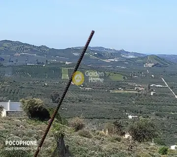 Professional Plot 12000m<sup>2</sup> for sale photo 3055486