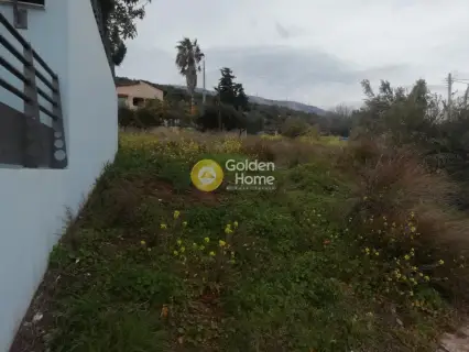 Residential 227m<sup>2</sup> for sale photo 2