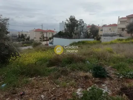 Residential 227m<sup>2</sup> for sale photo 6