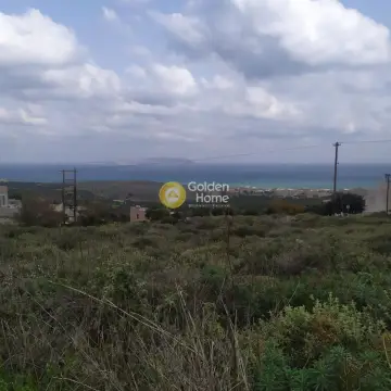 住宅 520m<sup>2</sup> for sale photo 6