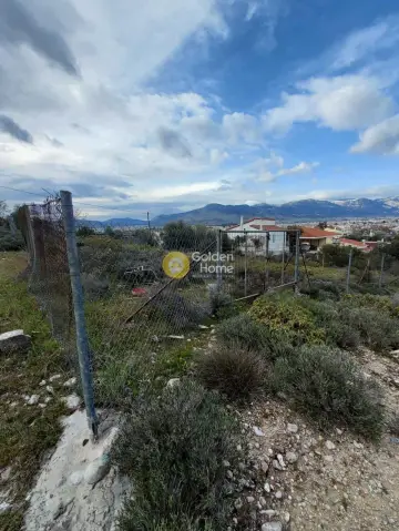 住宅 248m<sup>2</sup> for sale photo 3059423