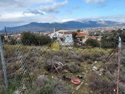 住宅 248m<sup>2</sup> for sale photo 3059425