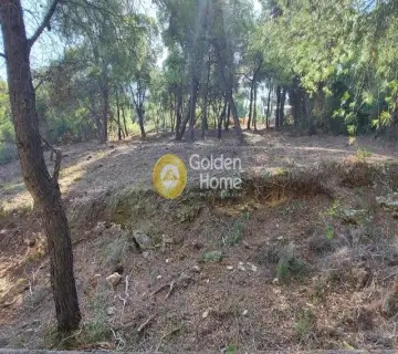 Οικιστικό 1085τ.μ. προς πώληση φωτογραφία 3063080