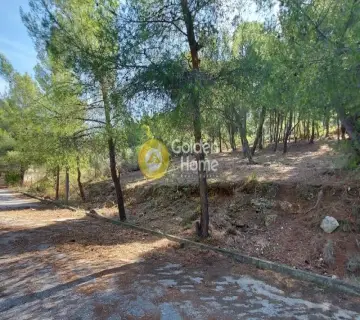 Οικιστικό 1085τ.μ. προς πώληση φωτογραφία 3063079