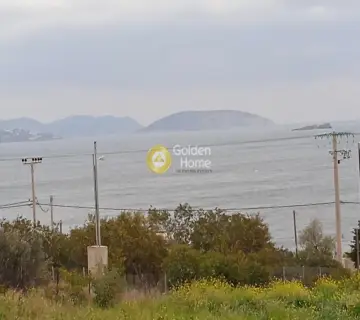 Οικιστικό 4000τ.μ. προς πώληση φωτογραφία 1