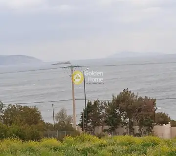 Οικιστικό 4000τ.μ. προς πώληση φωτογραφία 6