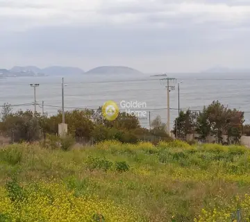 Οικιστικό 4000τ.μ. προς πώληση φωτογραφία 3