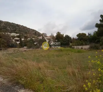 Οικιστικό 4000τ.μ. προς πώληση φωτογραφία 4