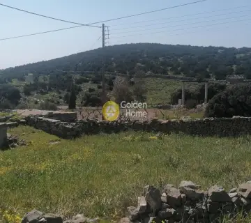 住宅 4673m<sup>2</sup> for sale photo 3071472